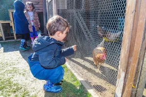 Öğrencilerimizin Sosyal Sorumluluk Projeleri
